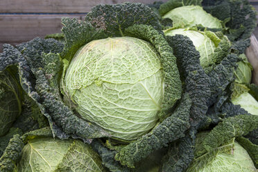 Wooden box of Savoy cabbages on market - WIF000487