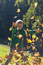 Little boy throwing autumn leaves in park - SARF000364