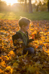 Little boy sitting on autumn leaves in park - SARF000369