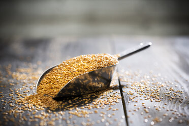 Metal shovel of golden linseed on wood - MAEF008153