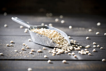 Metal shovel of white beans on dark wood - MAEF008137