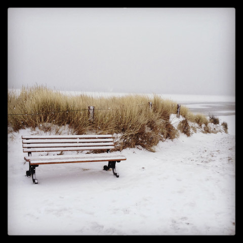 Beach / dunes with bench Langeoog, Lower Saxony, Germany stock photo