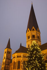 Deutschland, Nordrhein-Westfalen, Bonn, Weihnachtsbaum am Bonner Münster - WI000494