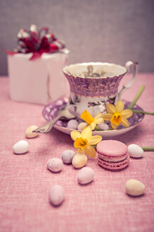 Laid table with cup, daffodils (Narcissus pseudonarcissus), macaron, sweets and gift - VTF000168