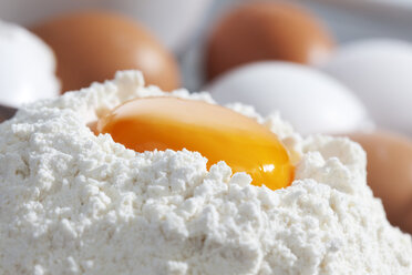 Egg yolk in flour - CSF021031