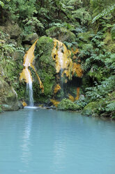 Portugal, Azores, Sao Miguel, Caldeira Velha, Waterfall, Hot Spring - ONF000427