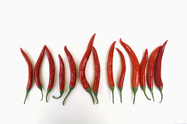 Row of red peppers in front of white background - AXF000645