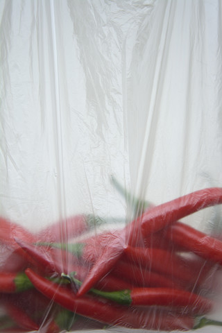 Rote Paprika in einer Plastiktüte vor weißem Hintergrund, lizenzfreies Stockfoto