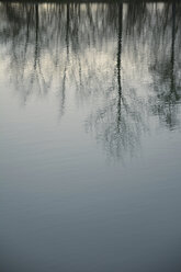 Spiegelungen von Bäumen auf einem See - AXF000660