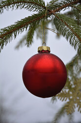 Rote Weihnachtskugel an einem Tannenzweig - AXF000662