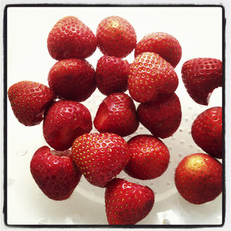 frische Erdbeeren in Bowle - EVGF000439