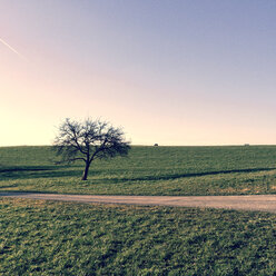 Landschaft, Südschwarzwald, Baden Württemberg, Deutschland - DRF000578