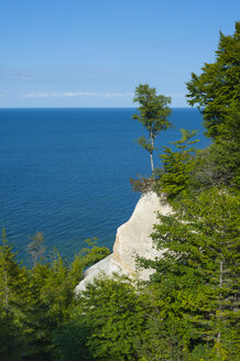 Dänemark, Insel Mon, Kreidefelsen von Mons Klint mit Ostsee - JBF000084