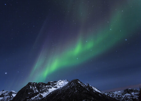 Polarlicht (Aurora borealis) auf Gimsoy, Lofoten, Norwegen - STSF000351