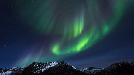 Polarlicht (Aurora borealis) auf Gimsoy, Lofoten, Norwegen - STSF000350