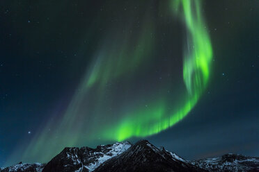 Polar lights (aurora borealis) in Gimsoy, Lofoten, Norway - STSF000348