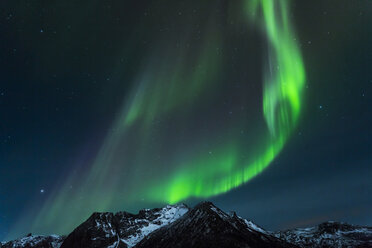 Polarlicht (Aurora borealis) in Gimsoy, Lofoten, Norwegen - STSF000348