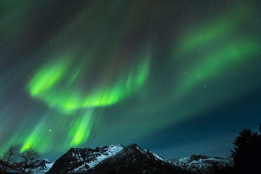 Polar lights (aurora borealis) in Gimsoy, Lofoten, Norway - STSF000349