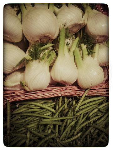 Studio, Fenchel und grüne Bohnen, lizenzfreies Stockfoto