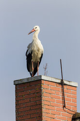 Deutschland, Storch auf Schornstein - SR000458