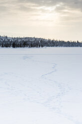 Finland, Winter landscape near Inari - SR000386