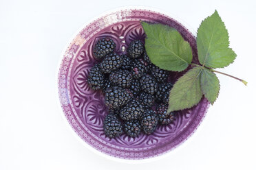 Bowl of blackberries (Rubus sectio Rubus) and blackberry leaf on white background, view from above - LVF000860