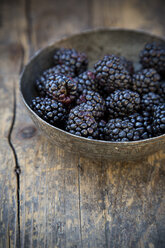 Schale mit Brombeeren (Rubus sectio Rubus) auf Holztisch - LVF000855