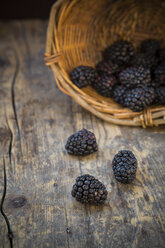Basket of blackberries (Rubus sectio Rubus) on wooden table - LVF000853