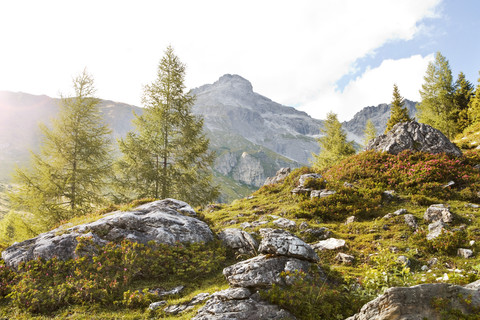 Österreich, Lungau, Steine in alpiner Landschaft, lizenzfreies Stockfoto