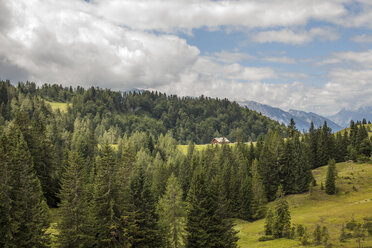 Österreich, Lungau, Wald und Berge - KVF000041