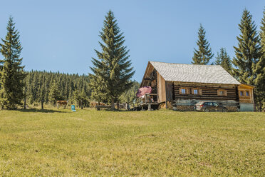 Austria, Gosau, wooden house in alpine meadow - KVF000046