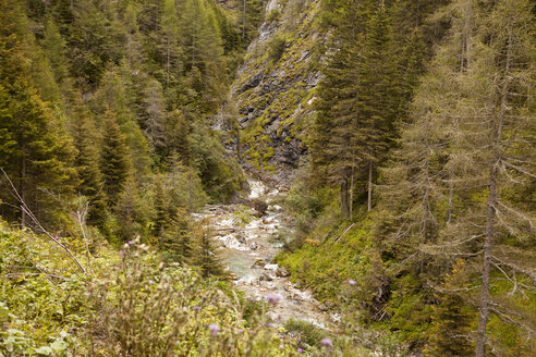 Österreich, Lungau, Almbach - KVF000034