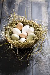 Easter nest with organic eggs on dark wood - MAEF008207