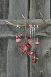 Deer antler and Christmas decoration on wooden wall - ASF005286