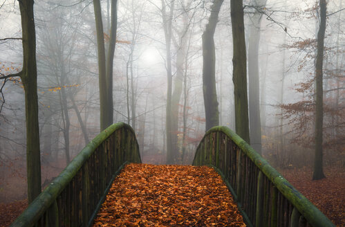 Deutschland, Hamburg, Jenischpark im Nebel, Holzbrücke mit Herbstlaub bedeckt - RJ000039