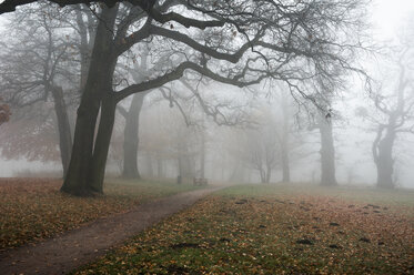 Deutschland, Hamburg, Jenischpark im Nebel - RJF000036