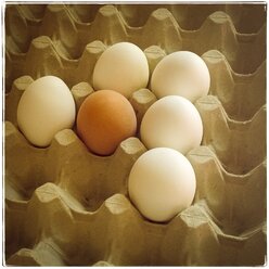 Eier im Eierkarton - CMF000075