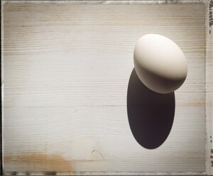 Egg on wood - CMF000076