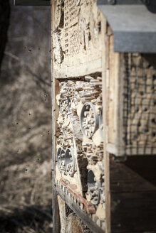 Deutschland, Baden-Württemberg, Vaihingen, Bienenhotel und Bienen in der Luft - SBDF000655