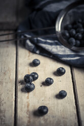 Blaubeeren, Tuch und Sieb auf Holz - SBDF000658