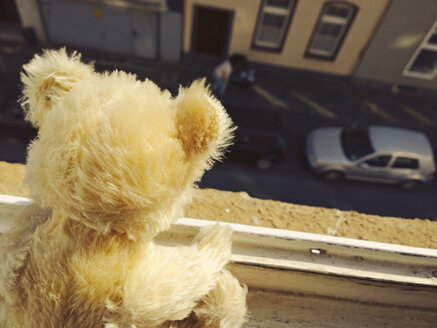 Teddybär schaut auf die Straße, Neuss, NRW, Deutschland - UWF000038