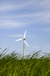 Germany, Hamburg, Wind turbine in meadow - KRPF000376