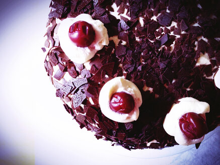 Black Forest Cake, Konstanz, Baden-Wurttemberg, Germany - JEDF000157