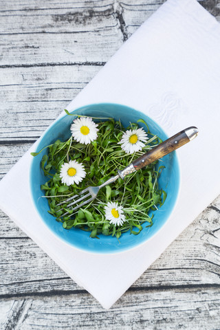 Schale mit Gartenkressesalat und Gänseblümchen (Bellis perennis) auf Serviette und grauem Holztisch, lizenzfreies Stockfoto