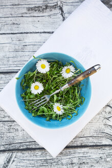 Schale mit Gartenkressesalat und Gänseblümchen (Bellis perennis) auf Serviette und grauem Holztisch - LVF000903