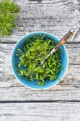 Schale mit Gartenkressesalat auf grauem Holztisch, Blick von oben - LVF000908