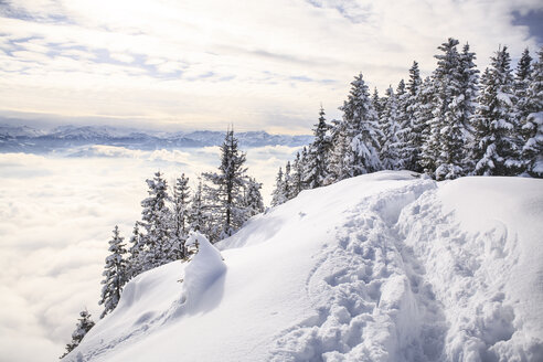 Österreich, Schneeberg bei Kufstein in den Alpen - VTF000181