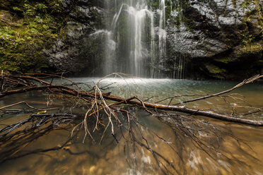 New Zealand, Whitianga, Waterfall - WV000496