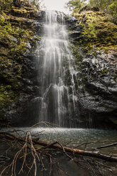 New Zealand, Whitianga, Waterfall - WV000495