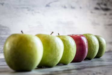 Red apple in a row of green apples - SARF000399